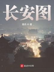 長安圖小說封面